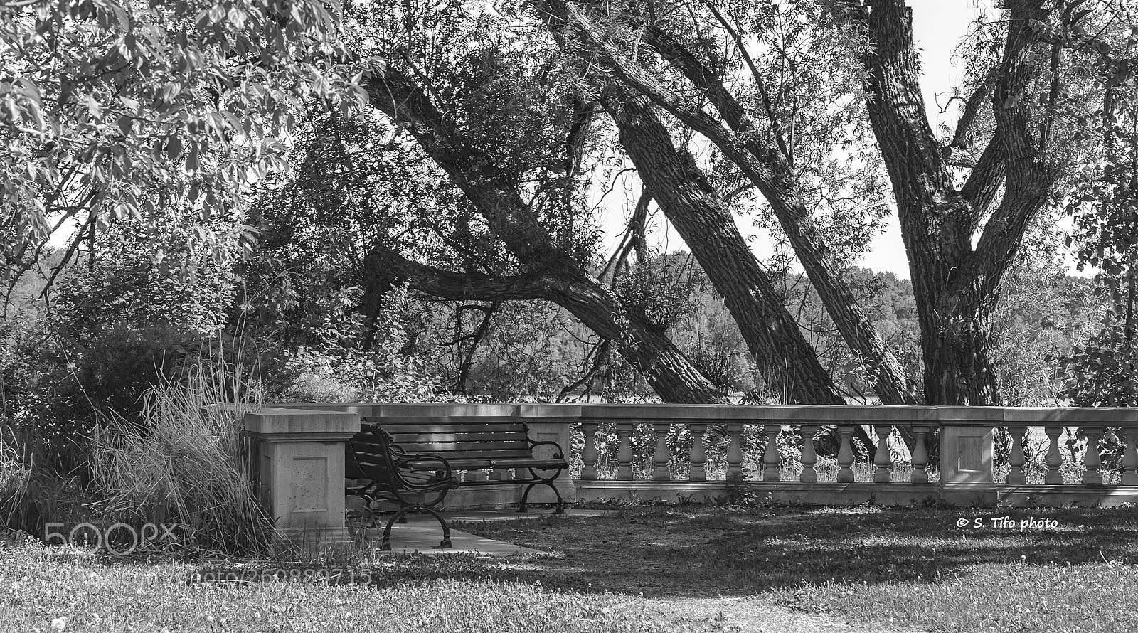Canon EOS 6D Mark II sample photo. The bench ... photography