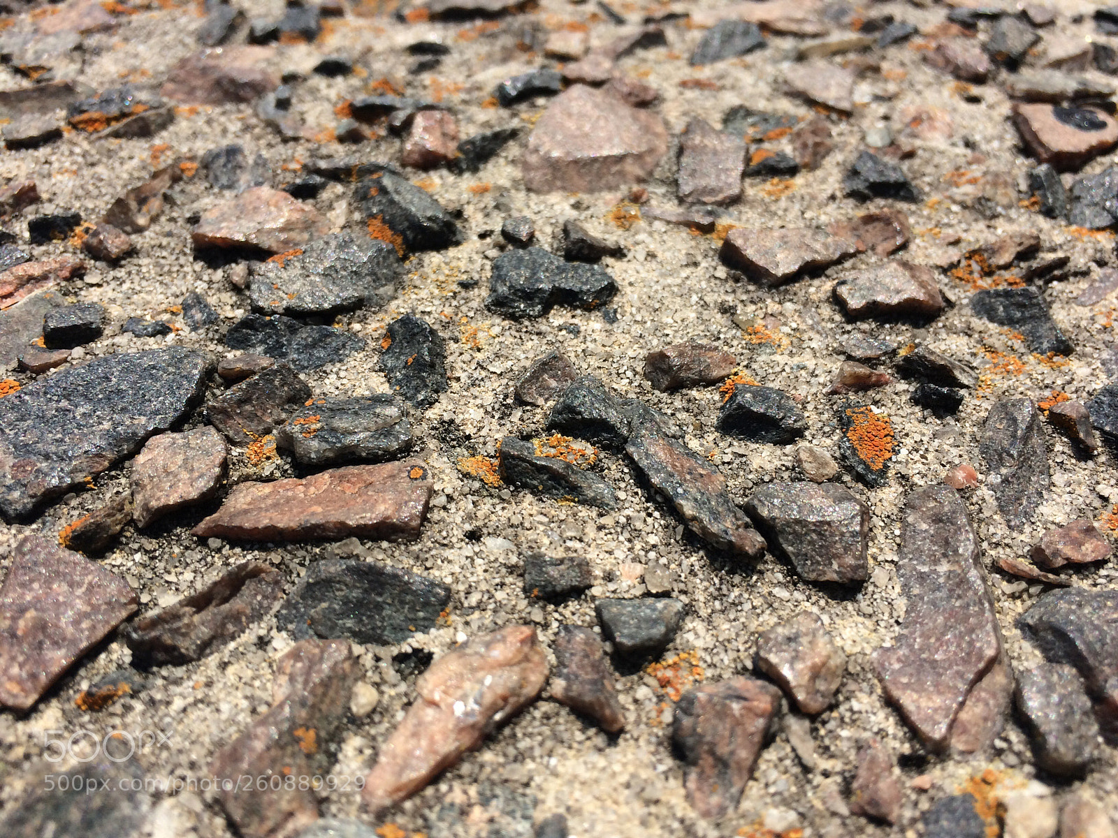 Apple iPhone 5s sample photo. Rocks in concrete  photography