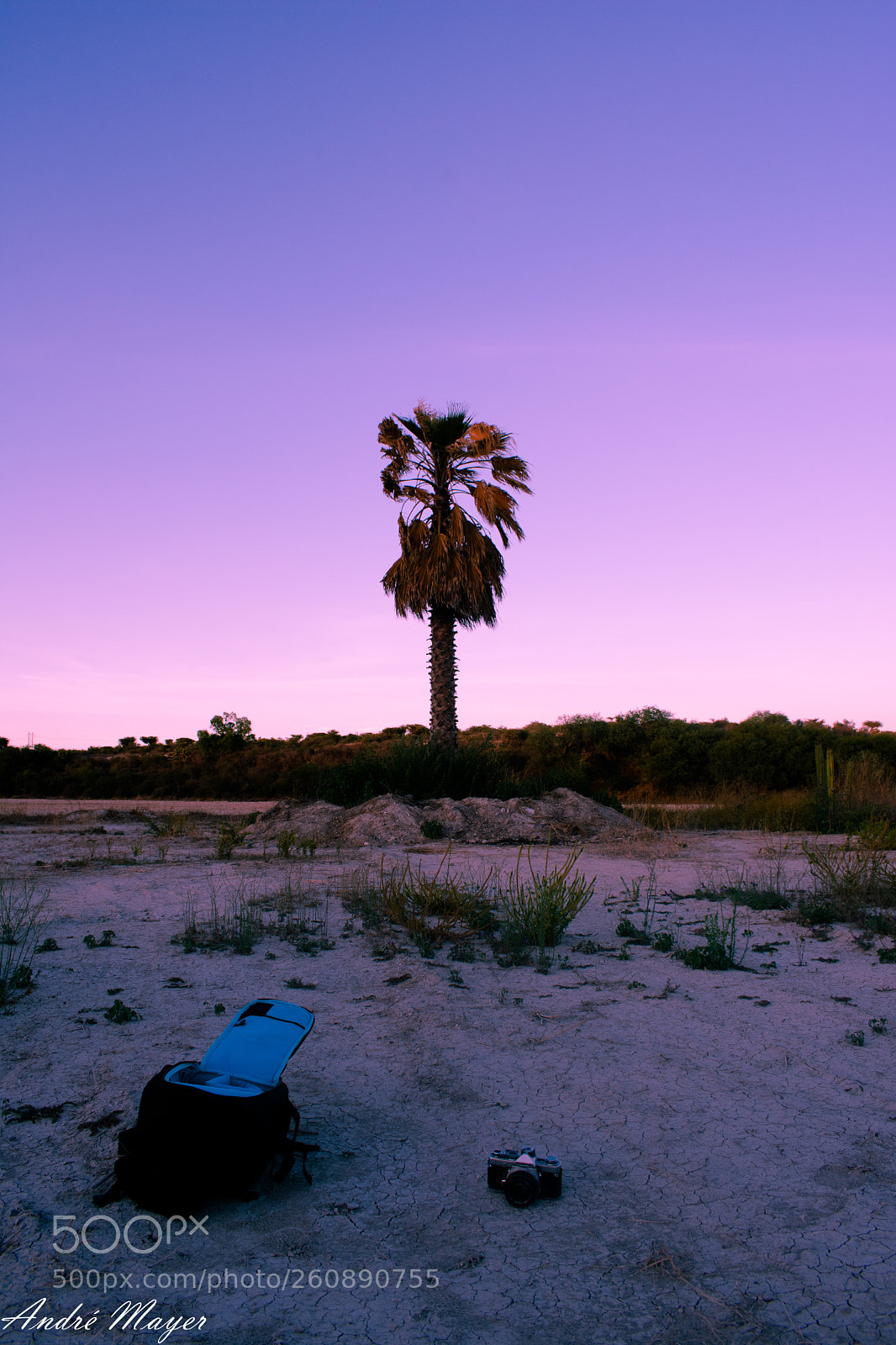 Nikon D3400 sample photo. Los cocos papu photography