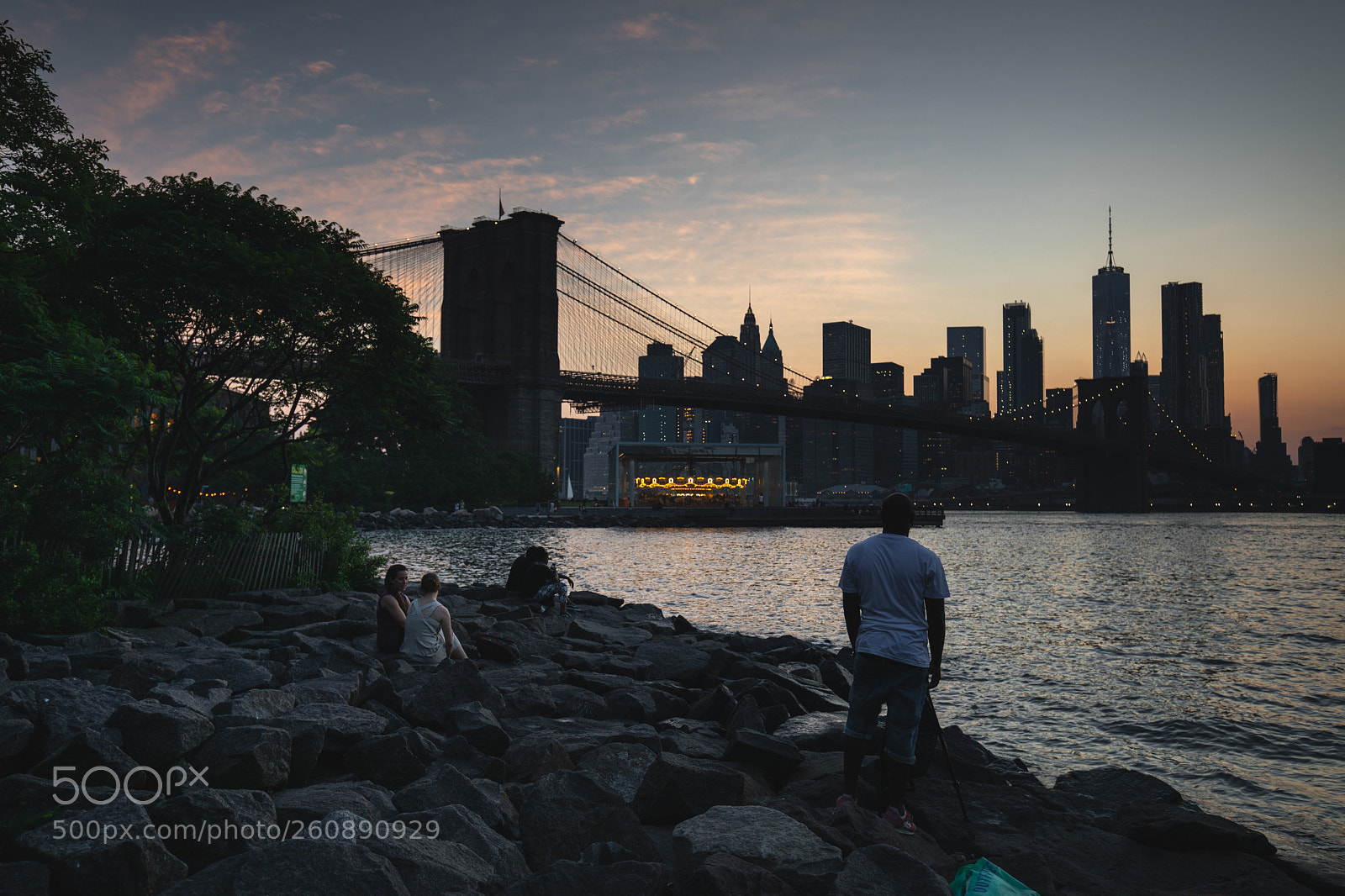 Canon EOS 5D Mark IV sample photo. Fellow tripod photography