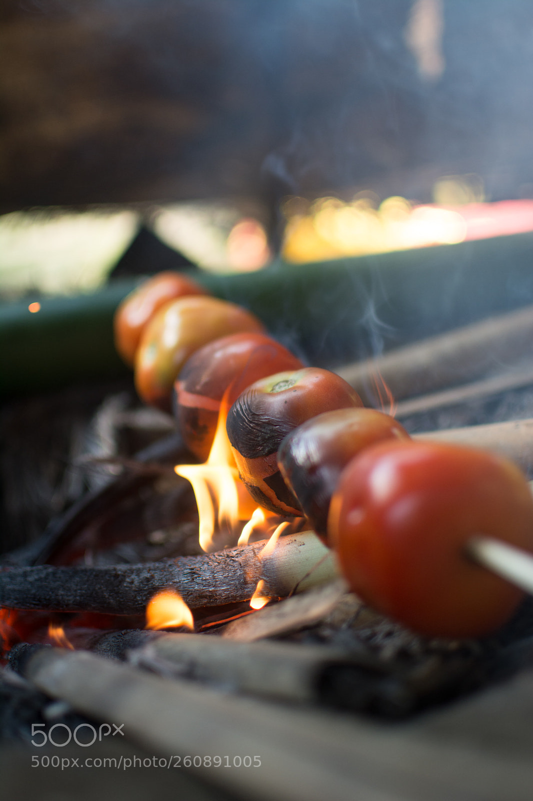 Nikon D5200 sample photo. Tomatoes being roasted photography