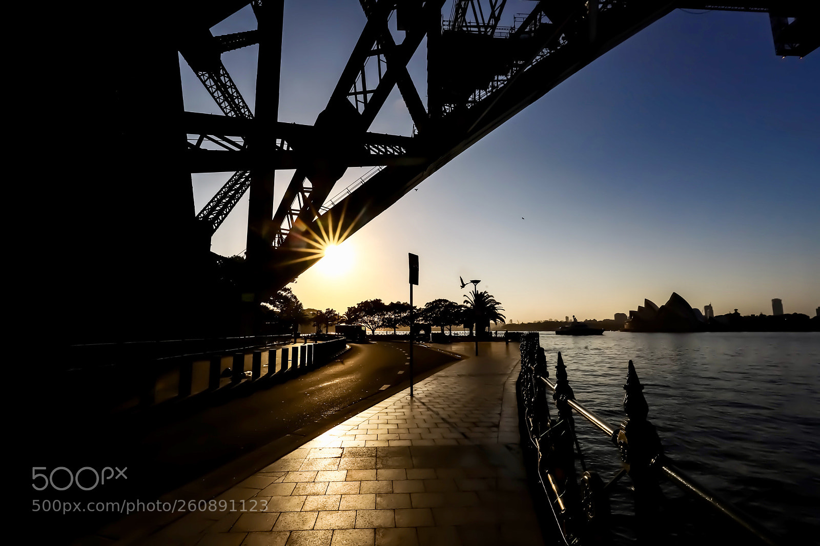 Canon EOS 6D Mark II sample photo. Untitled photography
