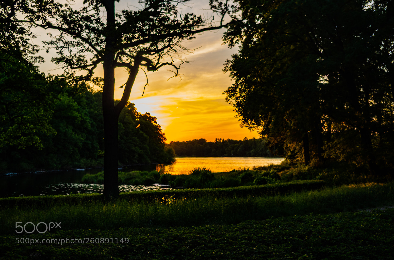 Pentax K-50 sample photo. A summer evening photography