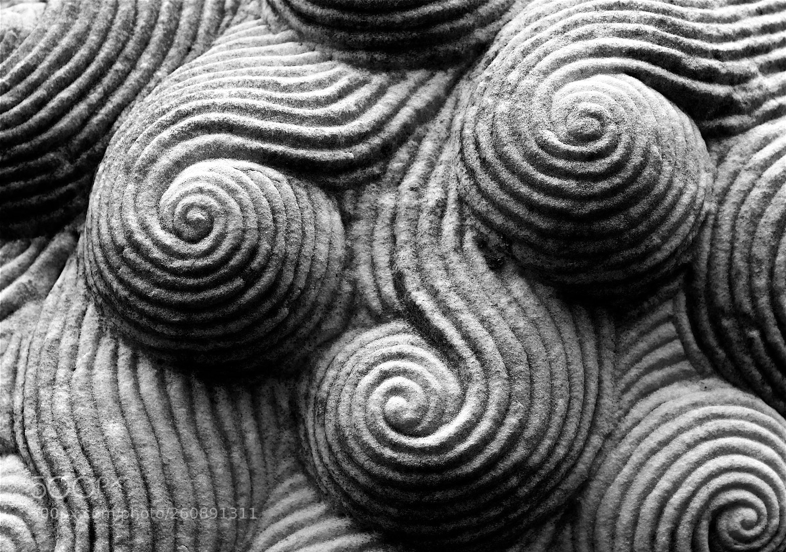 Canon EOS 550D (EOS Rebel T2i / EOS Kiss X4) sample photo. Bnw swirl photography