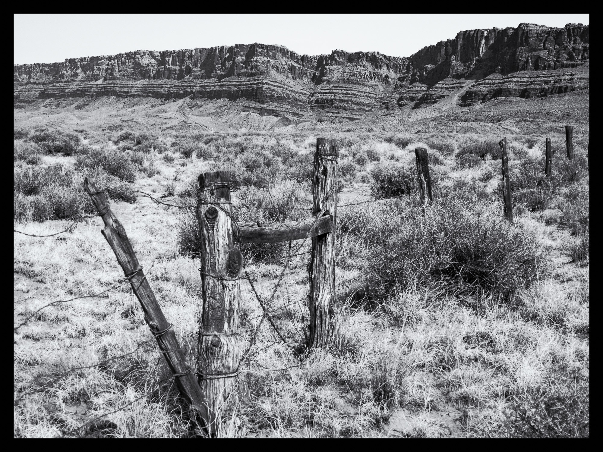Olympus PEN E-PL7 sample photo. Vermillion cliffs national monument photography