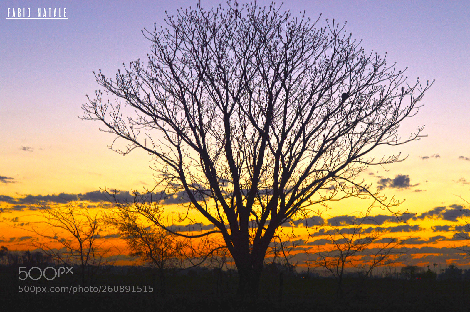 Nikon D3200 sample photo. Atardece photography
