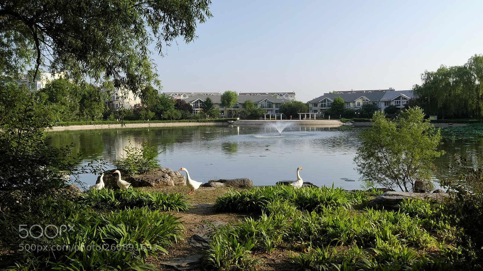 Fujifilm X-T2 sample photo. Summer morning photography