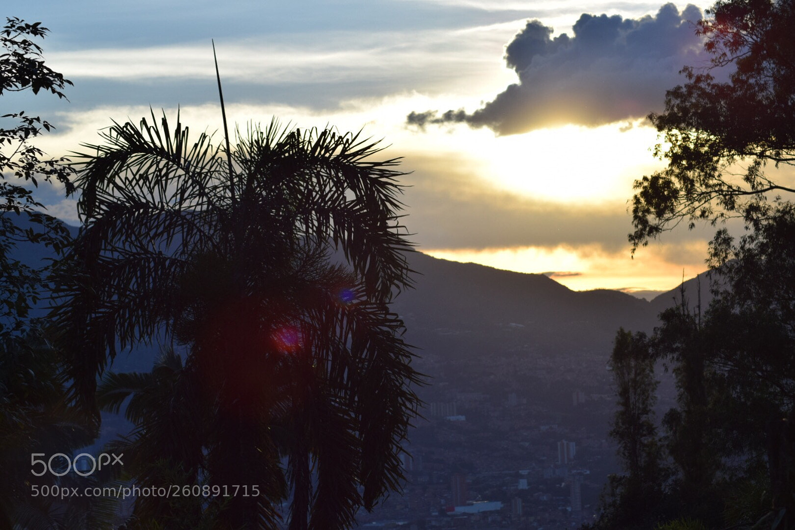 Nikon D5300 sample photo. Untitled photography