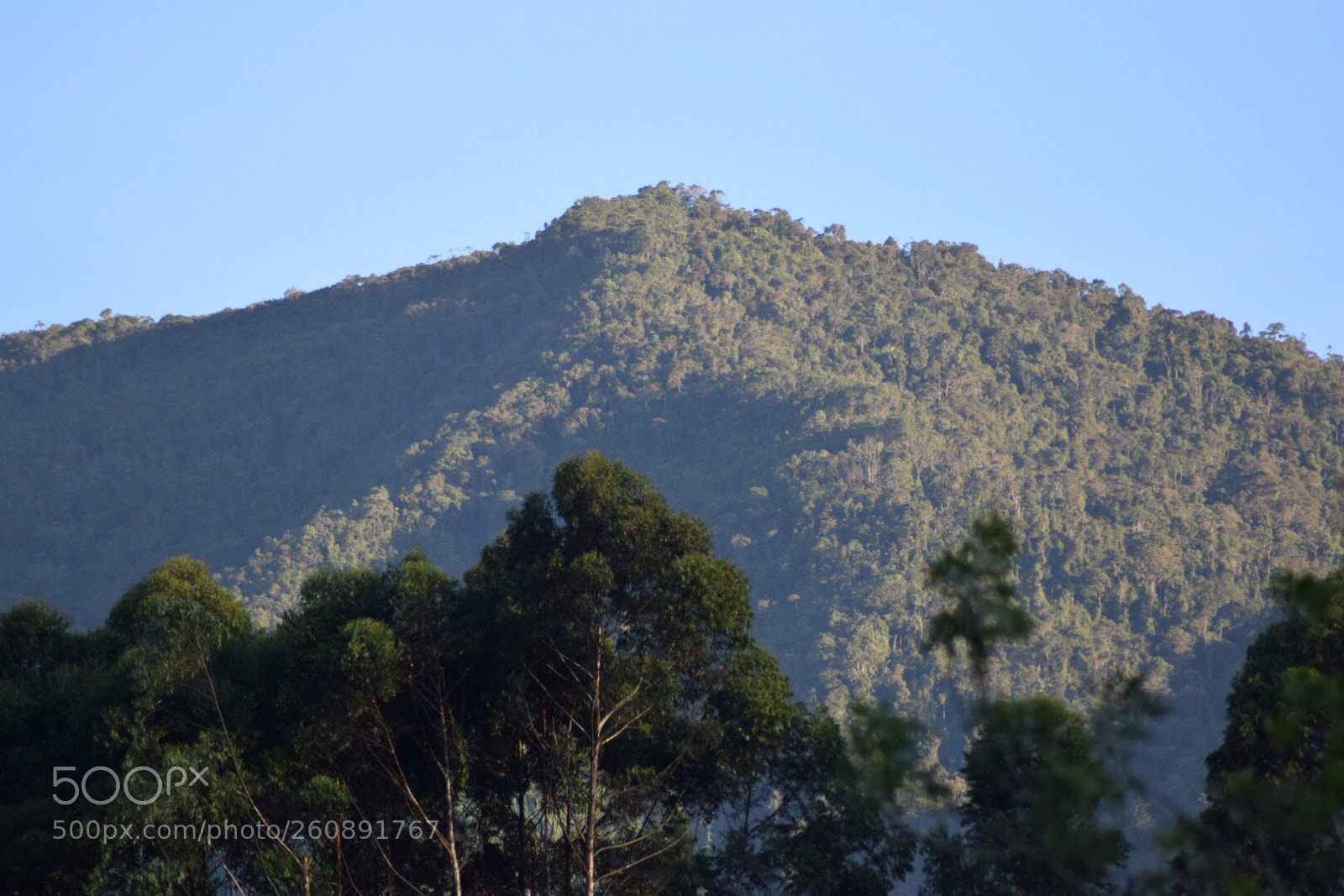 Nikon D5300 sample photo. Untitled photography