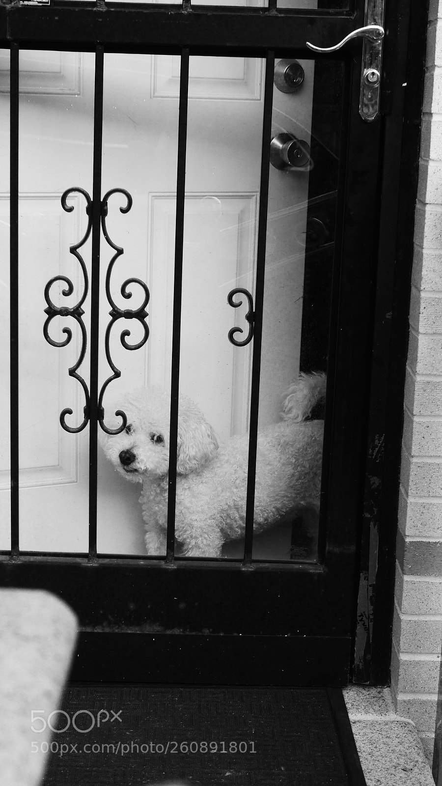 Panasonic Lumix DMC-GH3 sample photo. Protector photography
