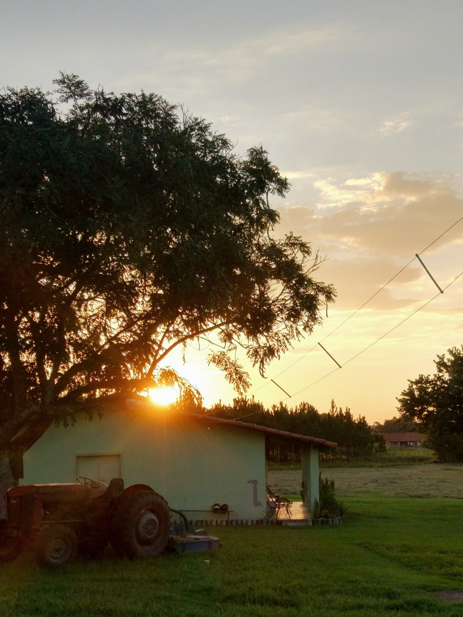 Xiaomi MI 5 sample photo. Farm life photography
