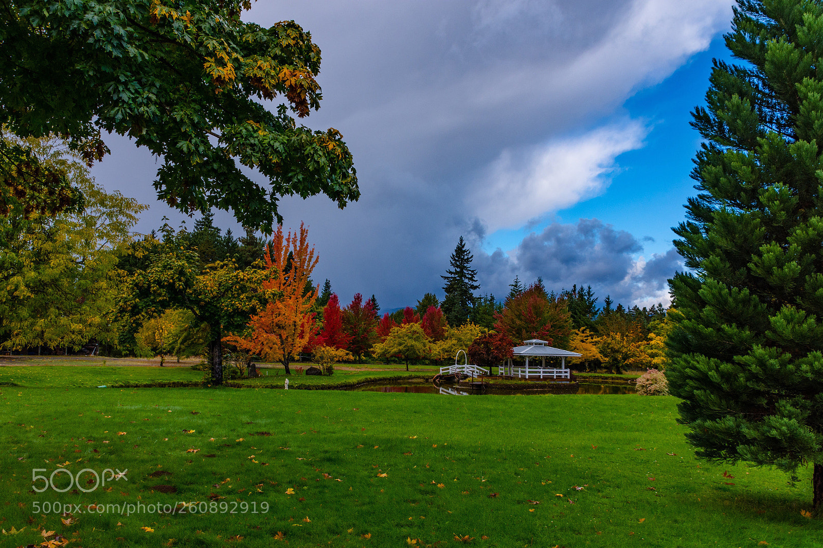 Nikon D7200 sample photo. Autumn in oregon photography