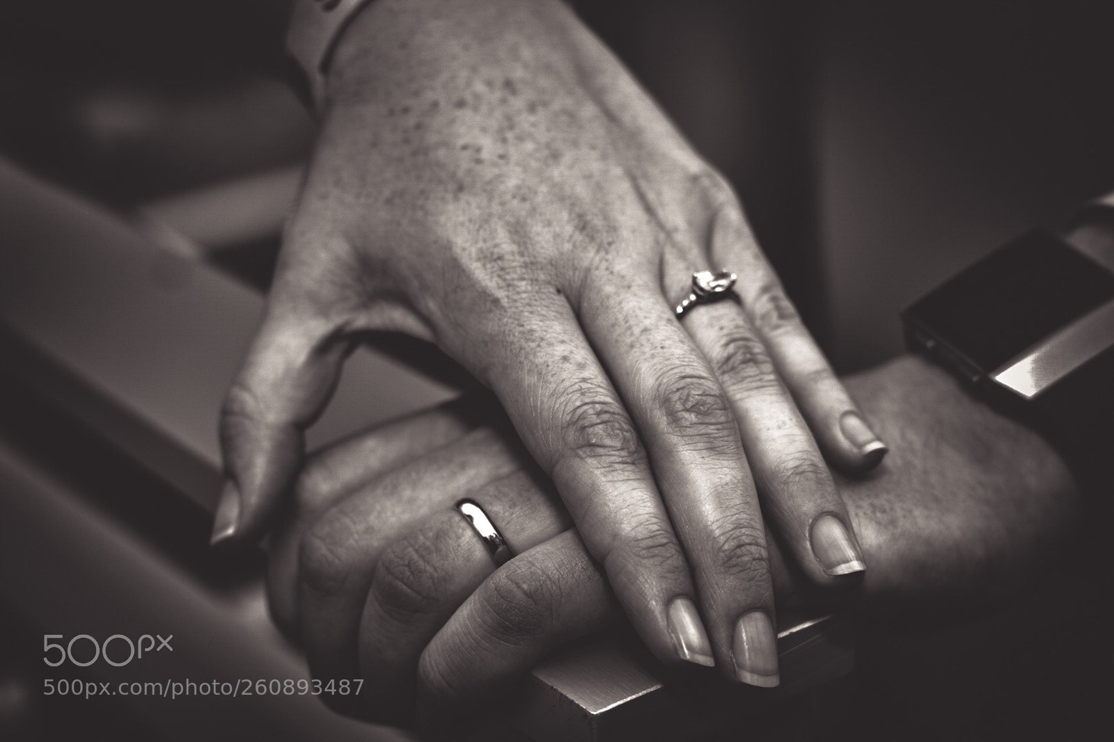Nikon D3400 sample photo. Love knows no bounds....... photography