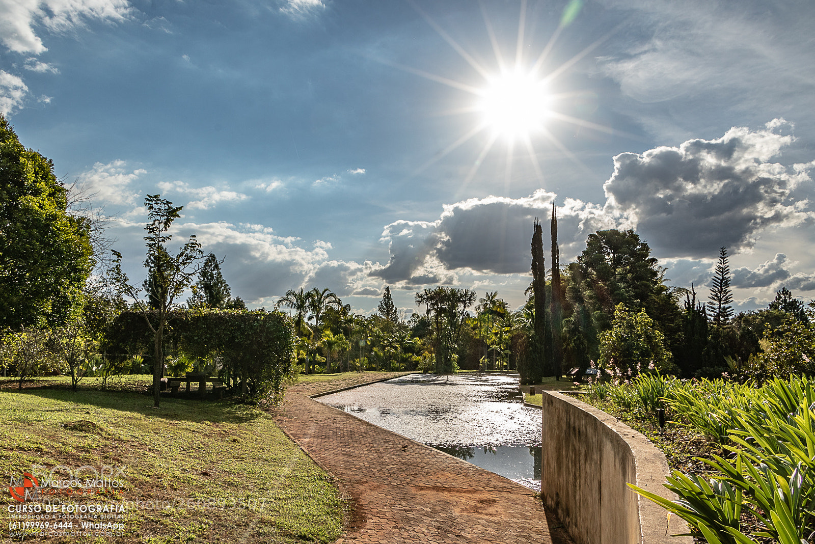 Canon EOS 7D Mark II sample photo. Jardim bot nico de photography