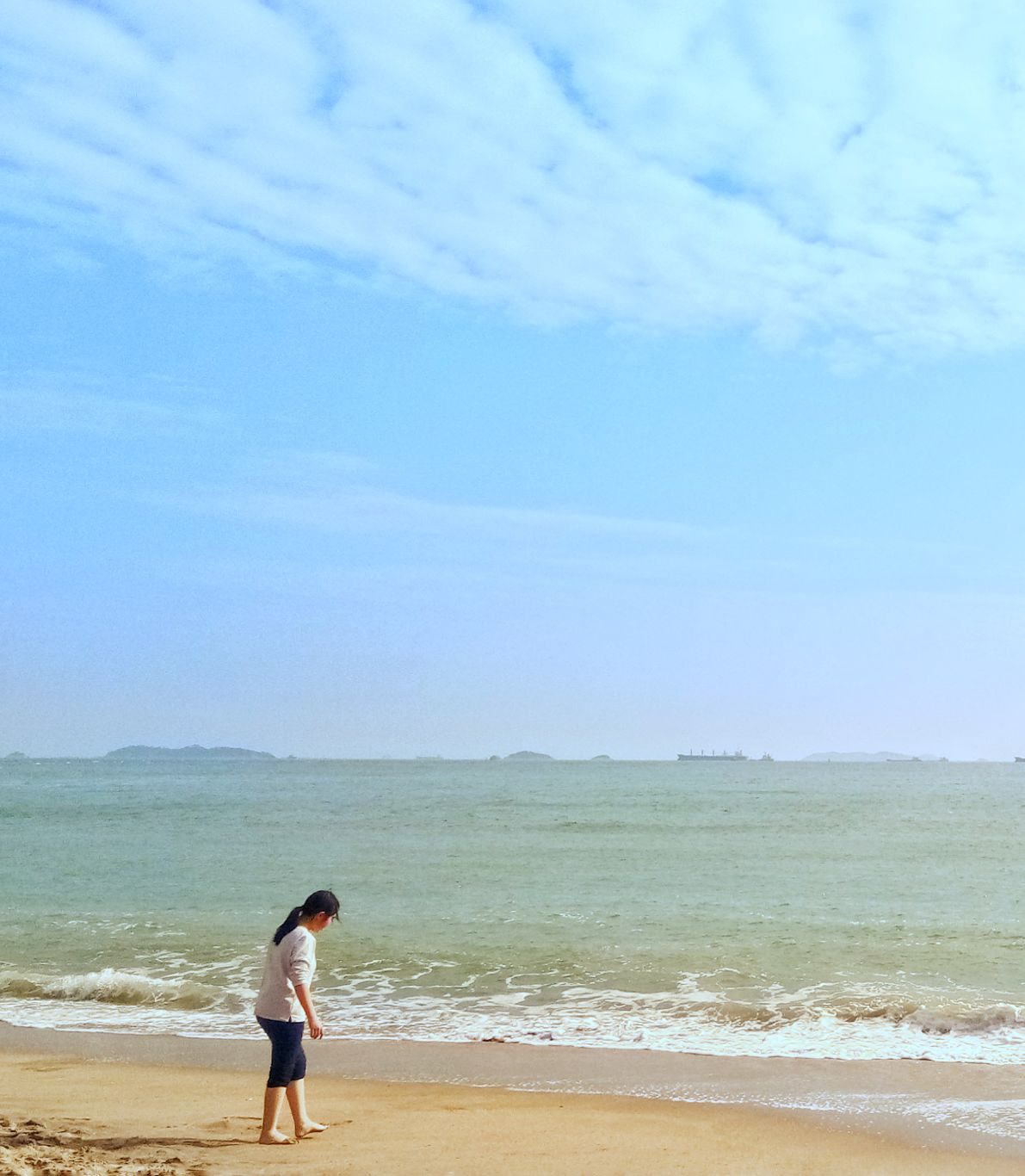 vivo PD1612 sample photo