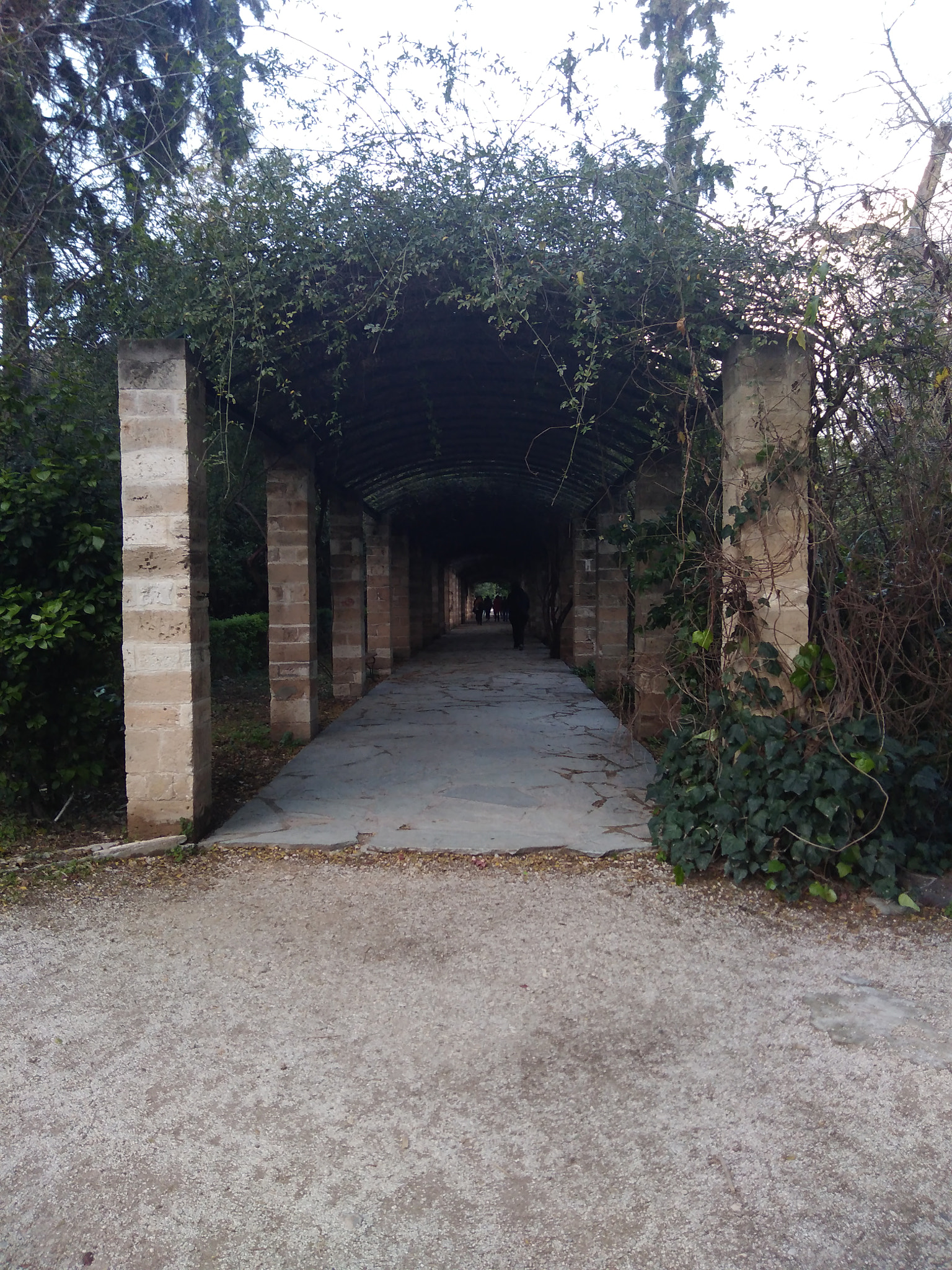 HUAWEI Honor 6A sample photo. National gardens in athens photography