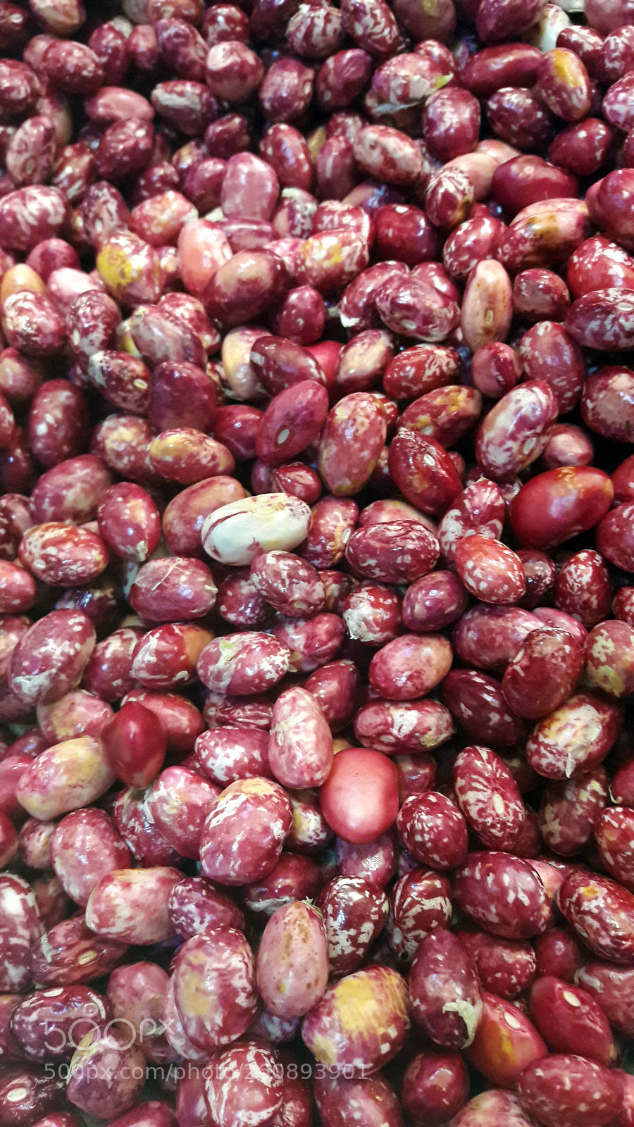 Samsung Galaxy A5(2016) sample photo. Fresh red beans photography