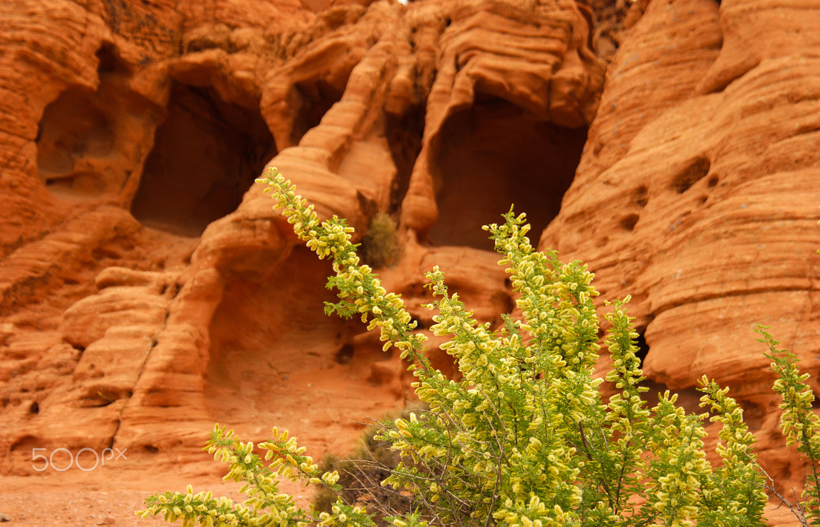 Samsung NX1 sample photo. Firecave, valley of fire, moapa valley, nv photography