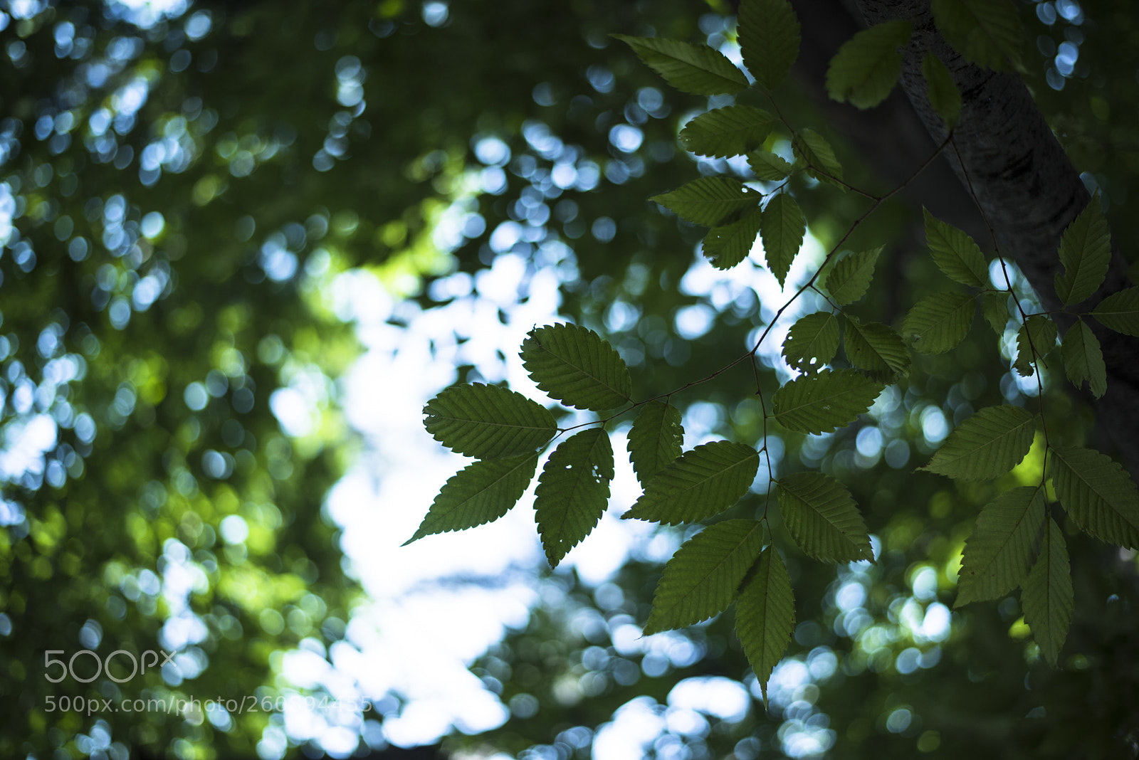 Nikon D810 sample photo. In a world   no.23 photography