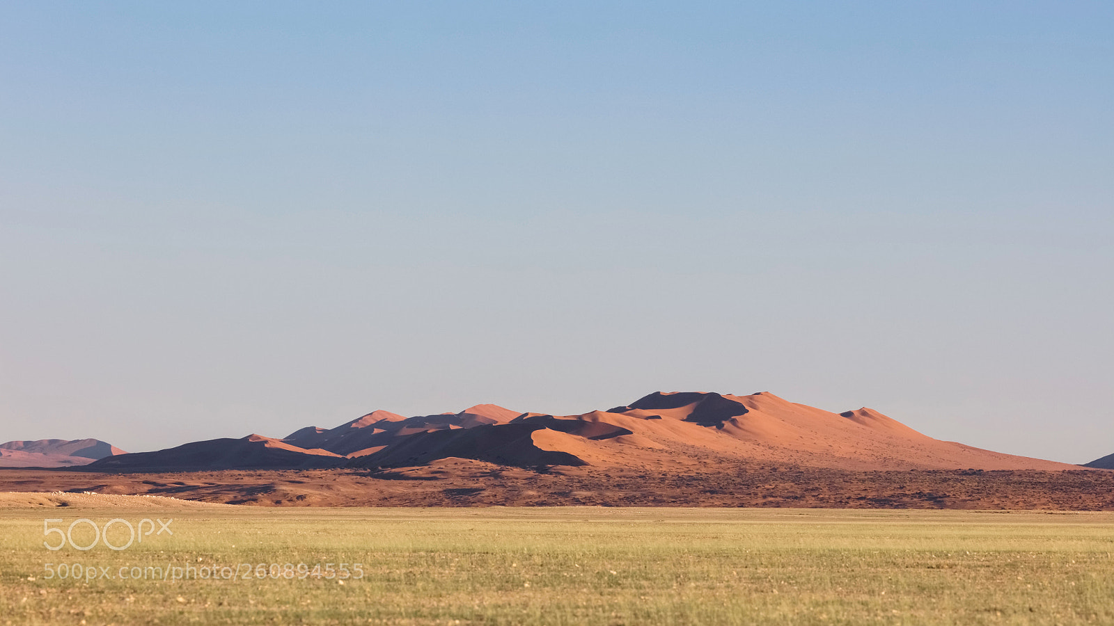 Canon EOS 5DS R sample photo. Namib glow photography