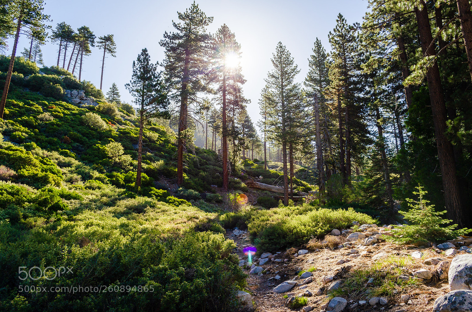 Nikon D5100 sample photo. Sunday hike to san photography