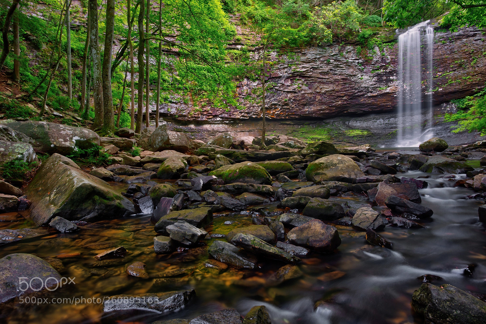 Canon EOS 6D sample photo. Cherokee falls in cloudland photography