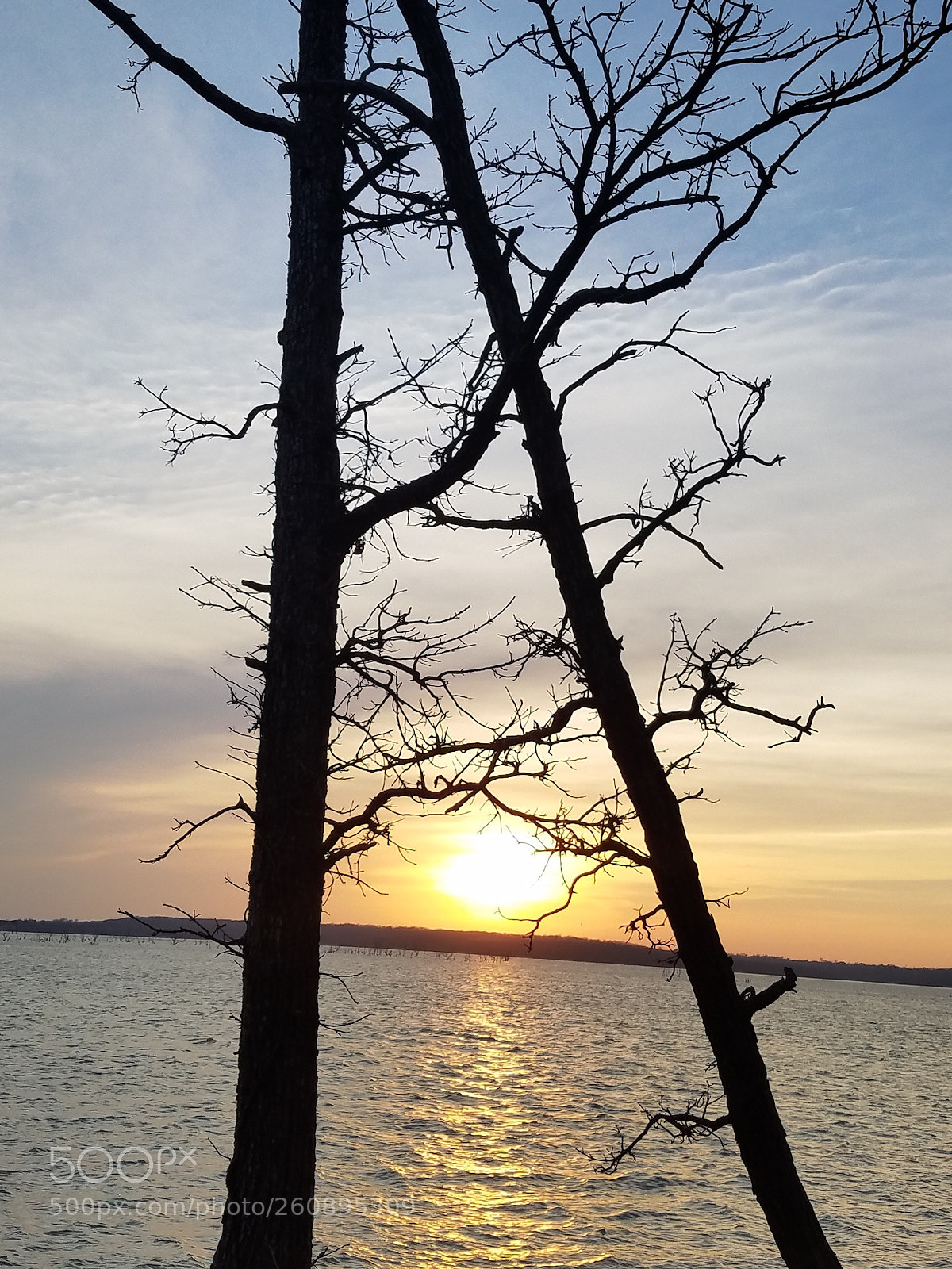Samsung Galaxy S7 Edge sample photo. Untitled photography