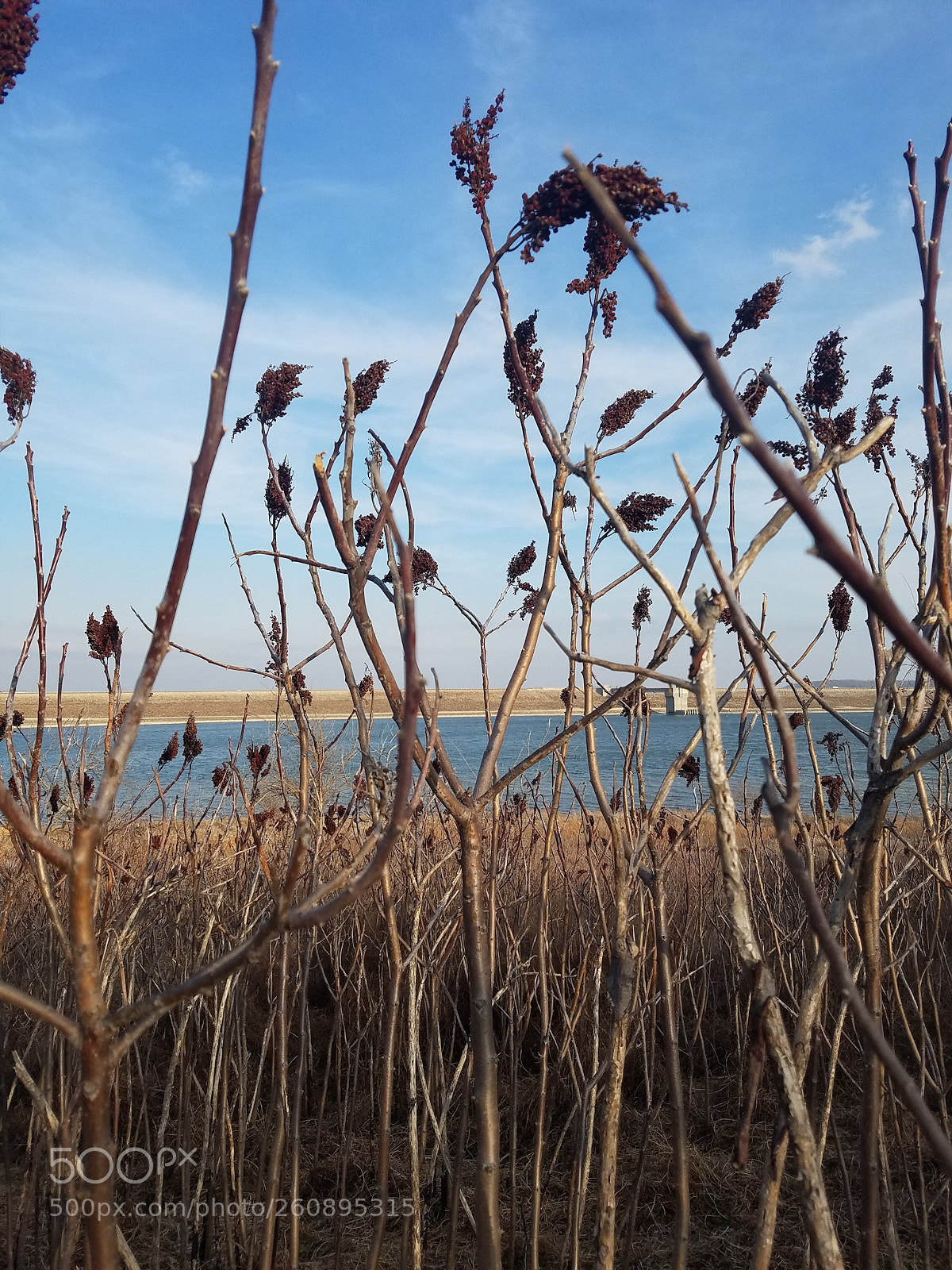 Samsung Galaxy S7 Edge sample photo. Fall photography