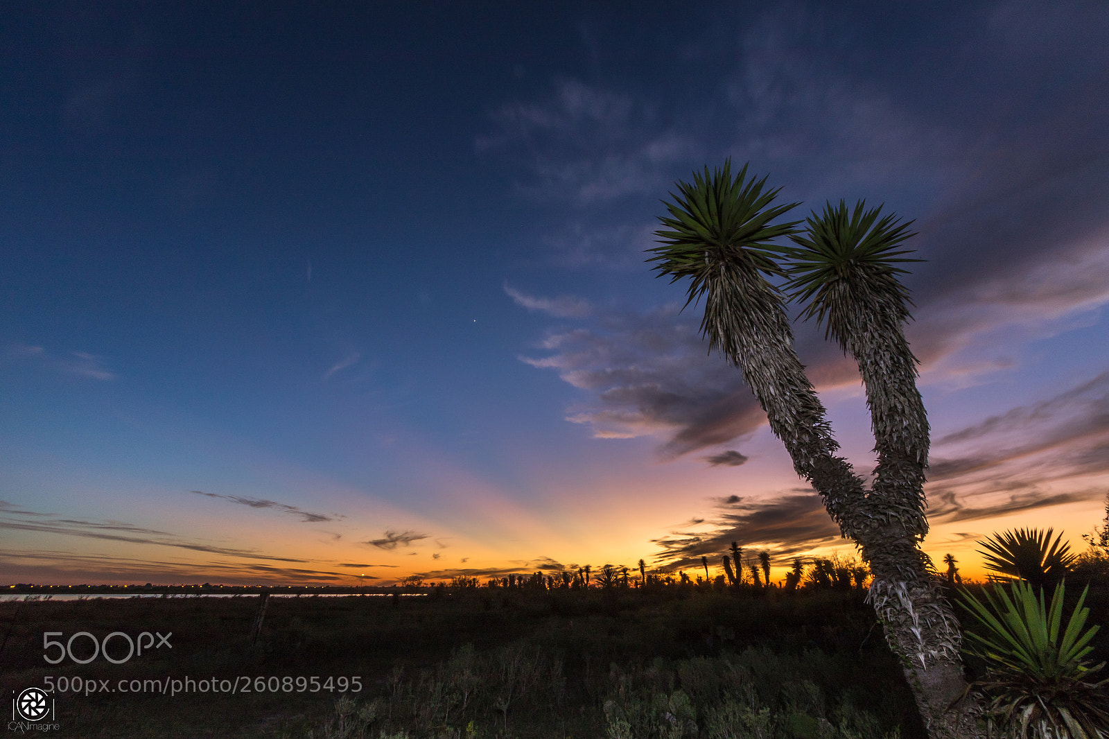 Canon EOS 7D Mark II sample photo. South texas flavor photography