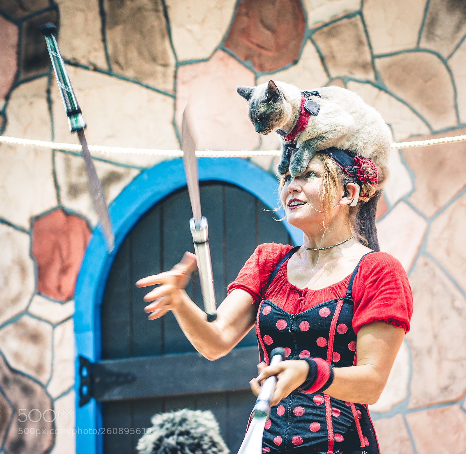 Nikon D7100 sample photo. Juggling with whiskers photography