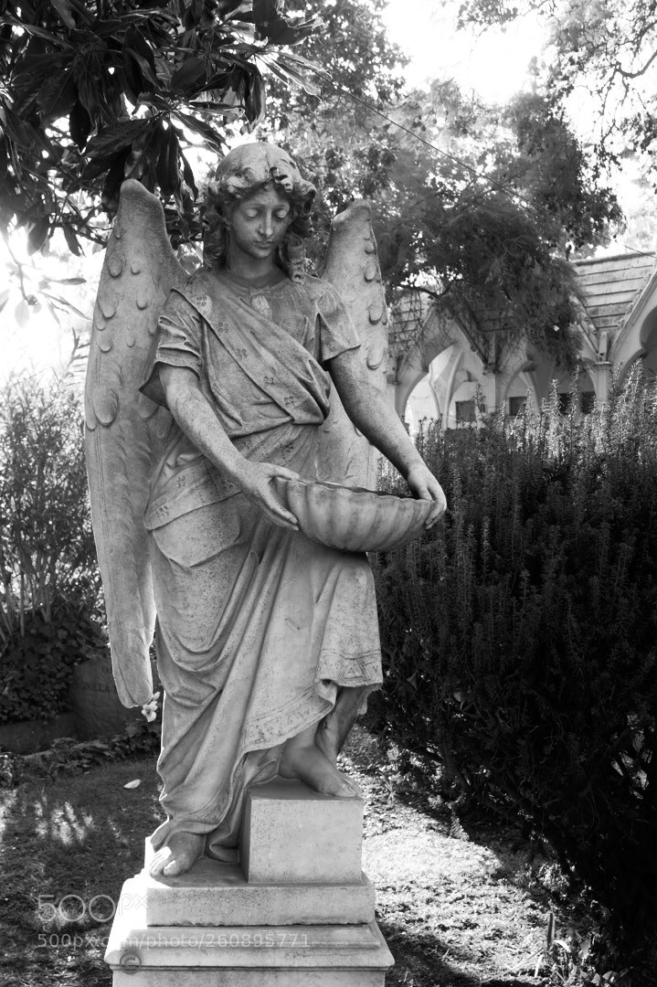 Sony SLT-A58 sample photo. Fotos urbanas photography