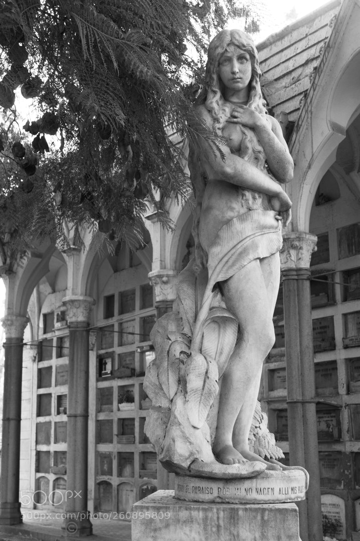 Sony SLT-A58 sample photo. Fotos urbanas photography