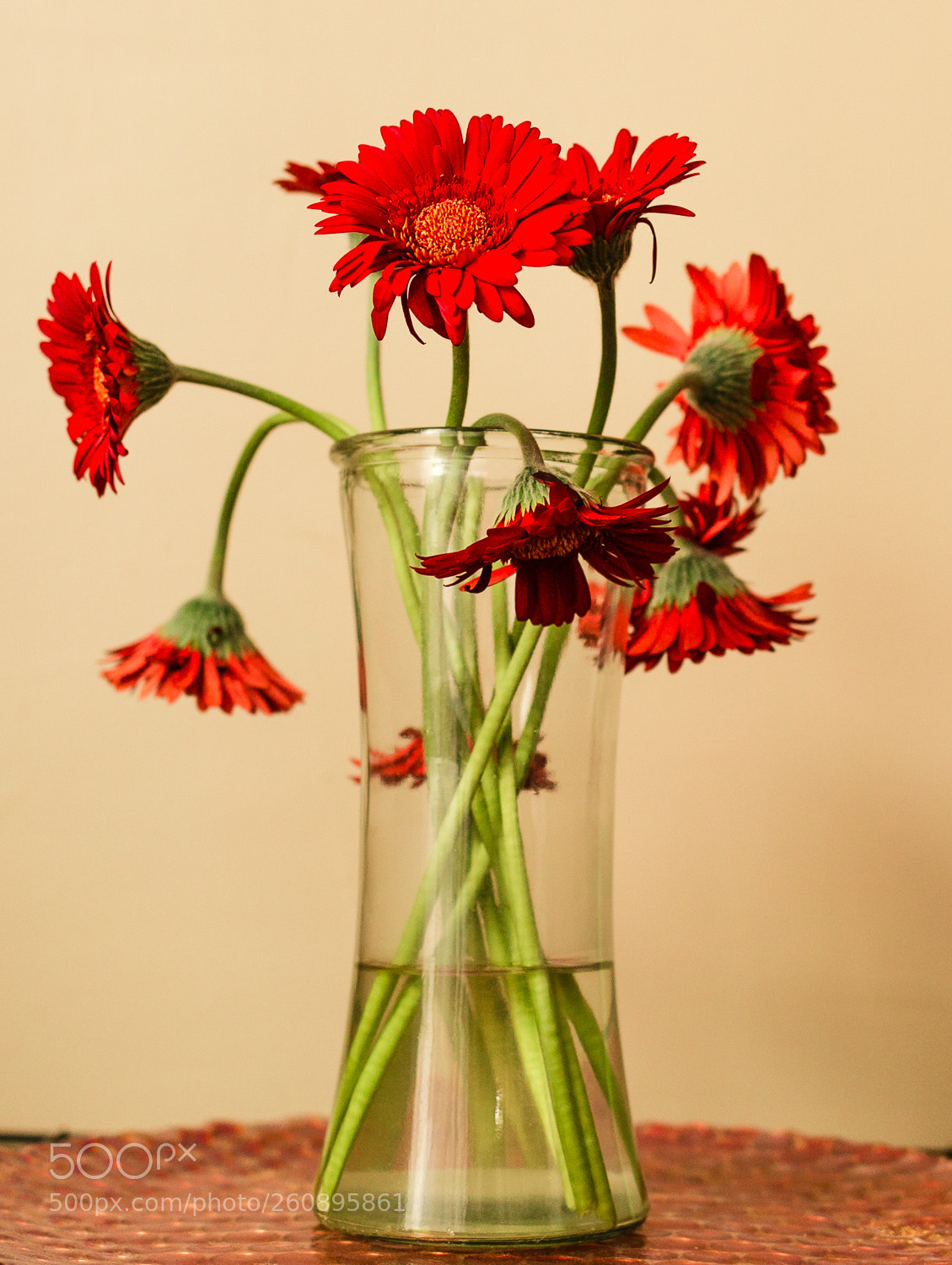 Canon EOS 6D sample photo. Stock flowers (of ) photography