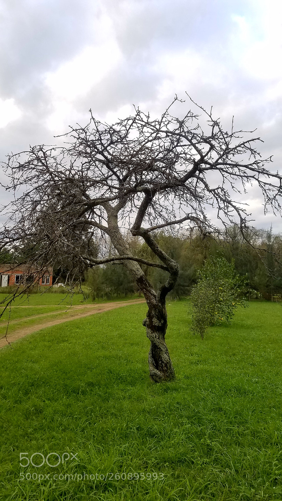 Samsung Galaxy S7 Edge sample photo. Untitled photography