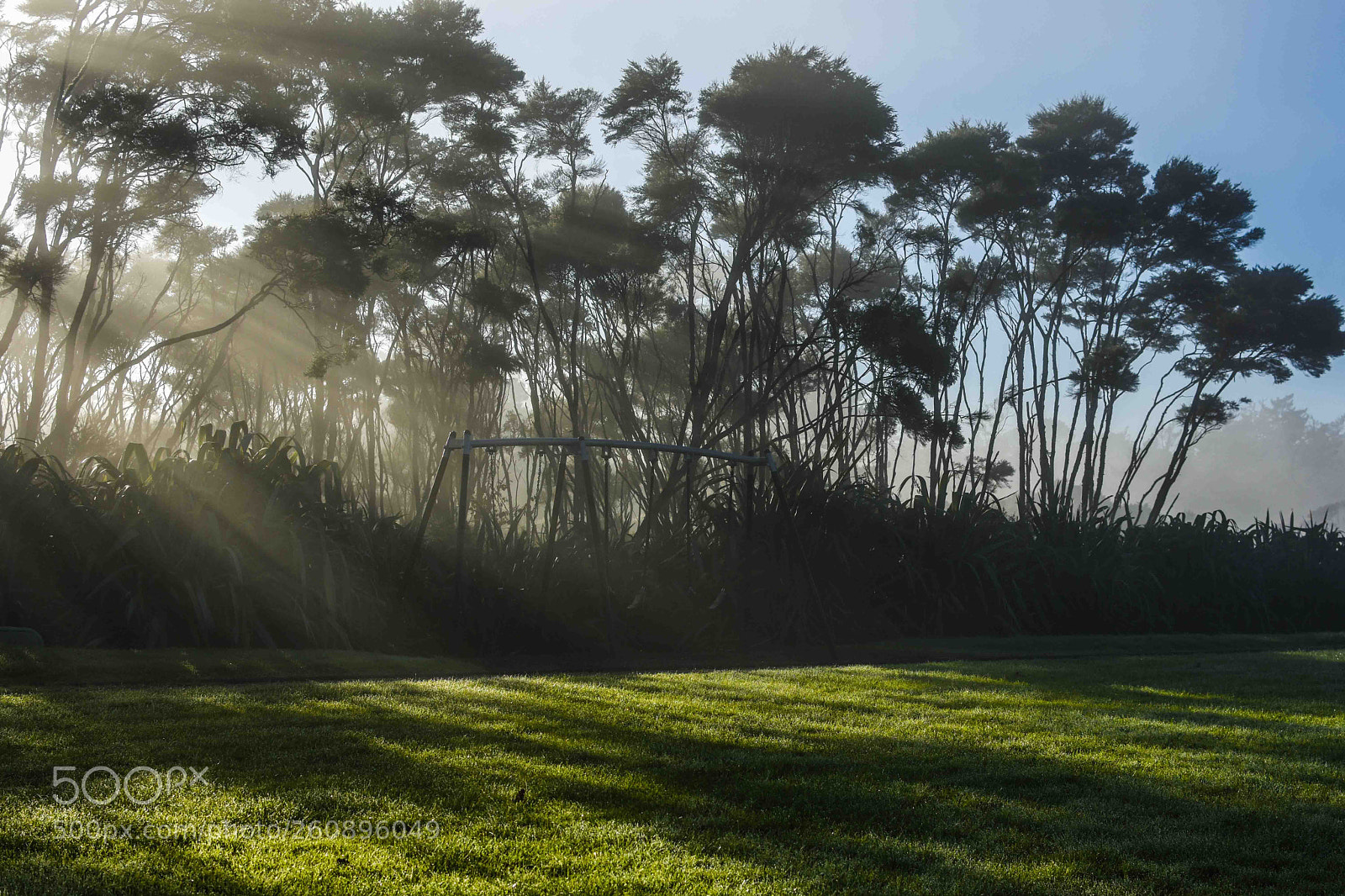 Nikon D7200 sample photo. Auckland misty mornings photography