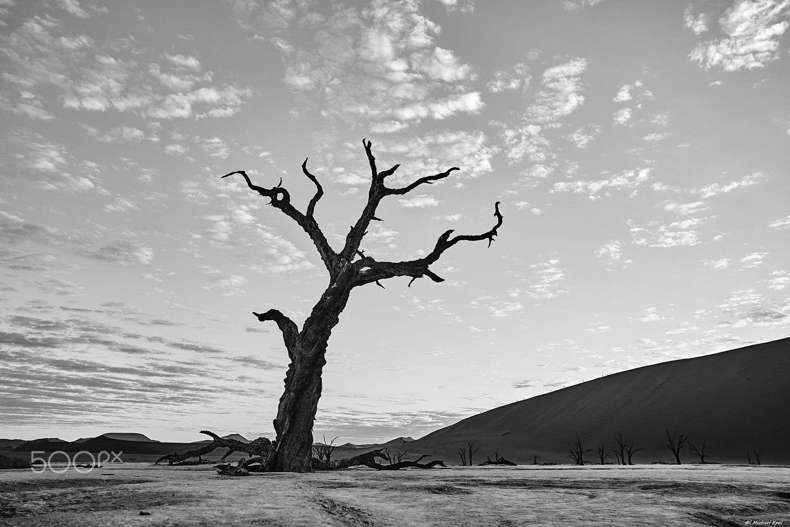 Leica M Monochrom (Typ 246) sample photo. L photography