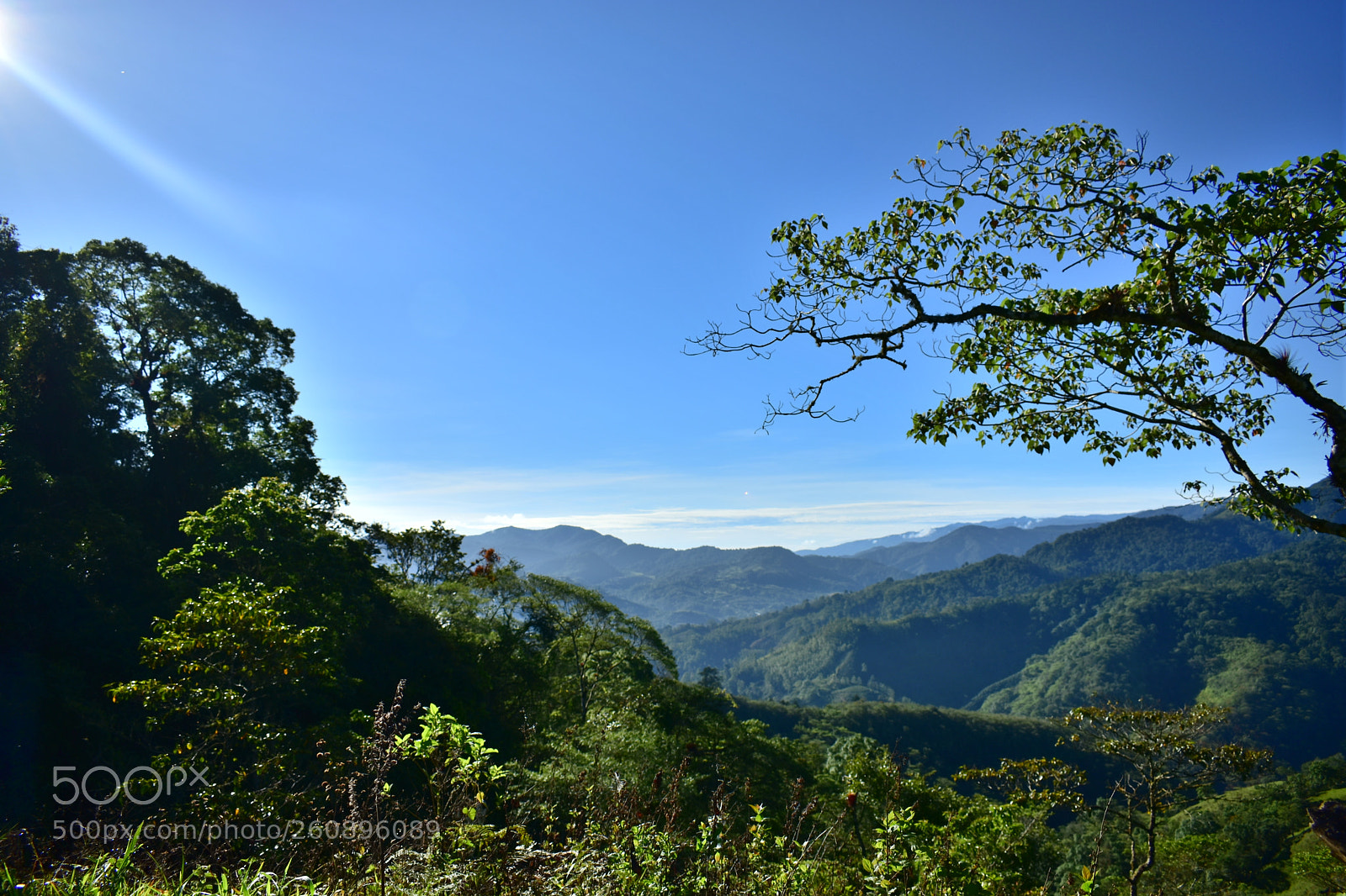 Nikon D3400 sample photo. Paradise photography