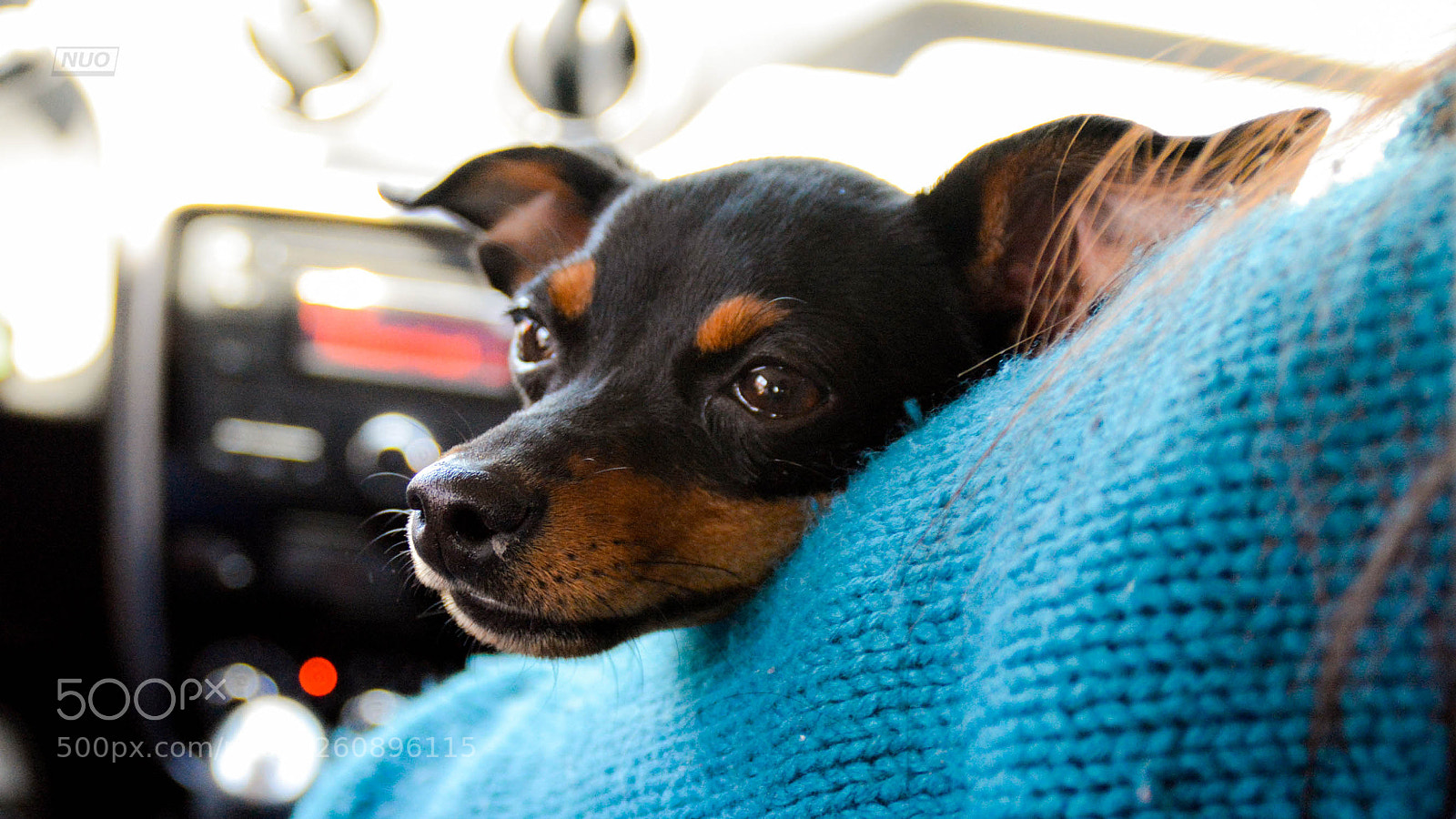Nikon D5200 sample photo. Minipins 014 photography