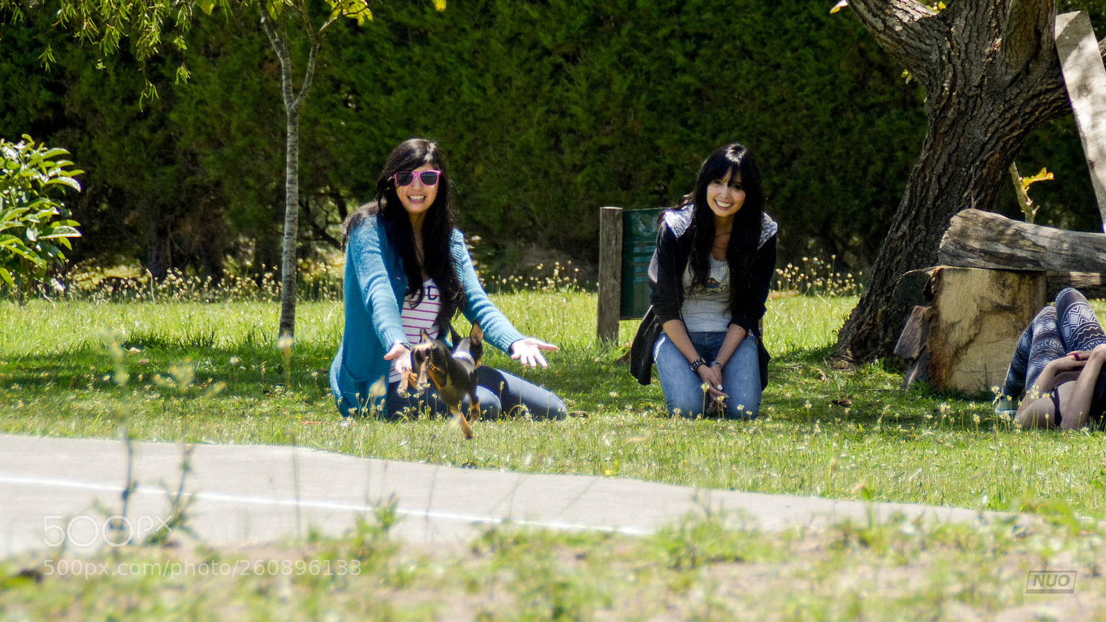 Nikon D5200 sample photo. Minipins 014 photography