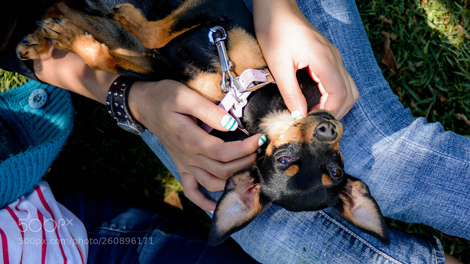 Nikon D5200 sample photo. Minipins 014 photography