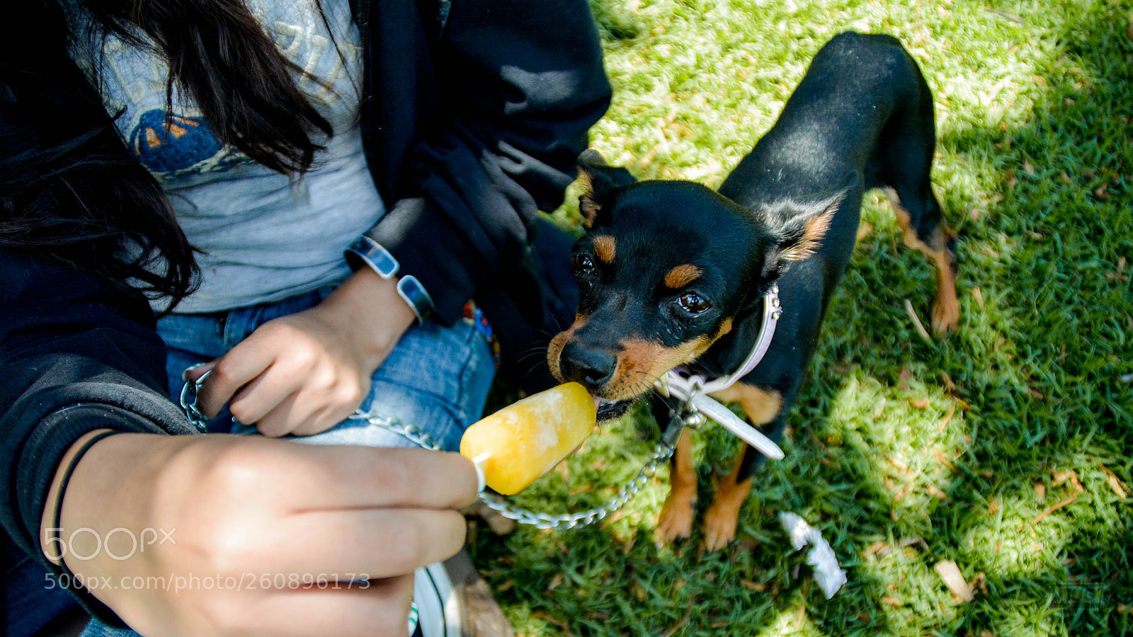 Nikon D5200 sample photo. Minipins 014 photography