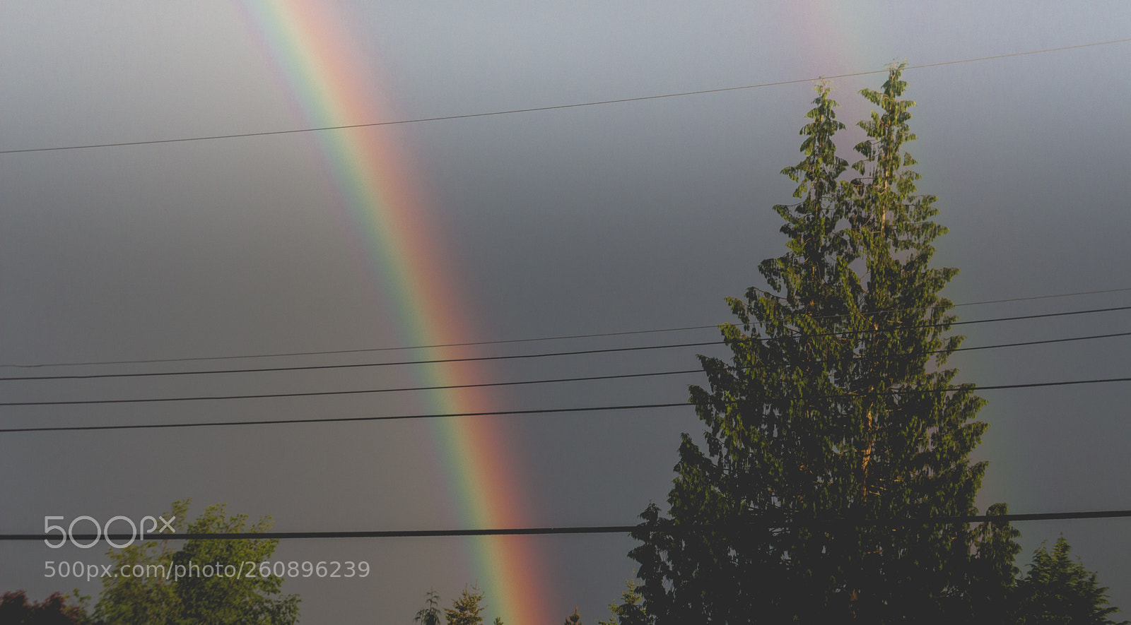 Canon EOS 700D (EOS Rebel T5i / EOS Kiss X7i) sample photo. Under the rainbow photography