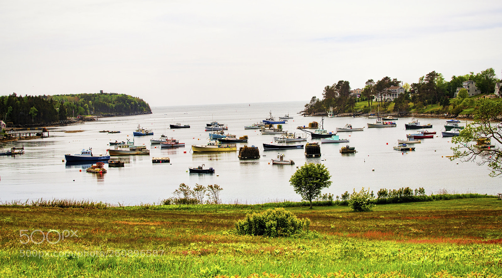 Nikon D850 sample photo. Maine port - different photography