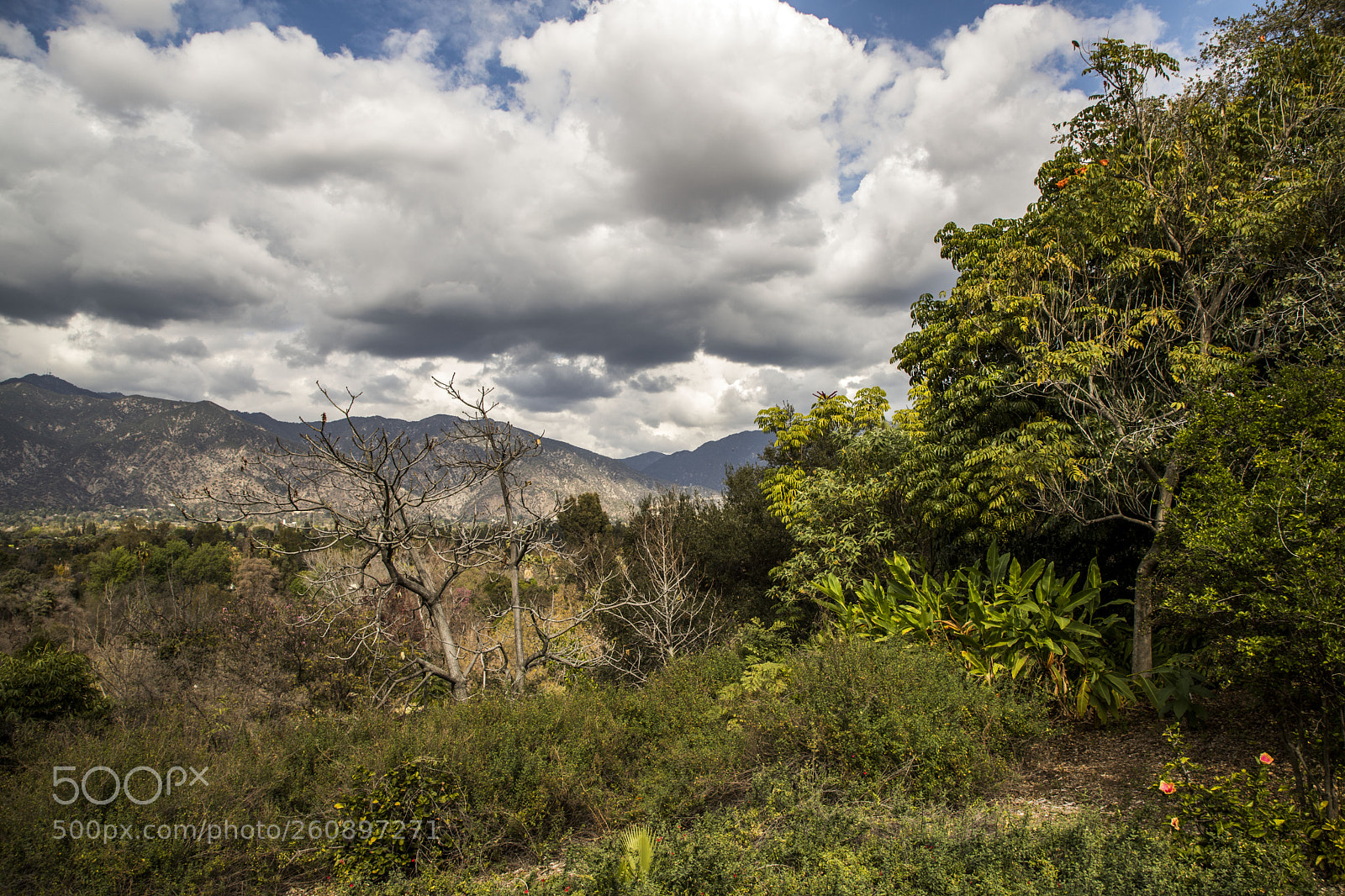 Canon EOS 6D Mark II sample photo. Landscape photography