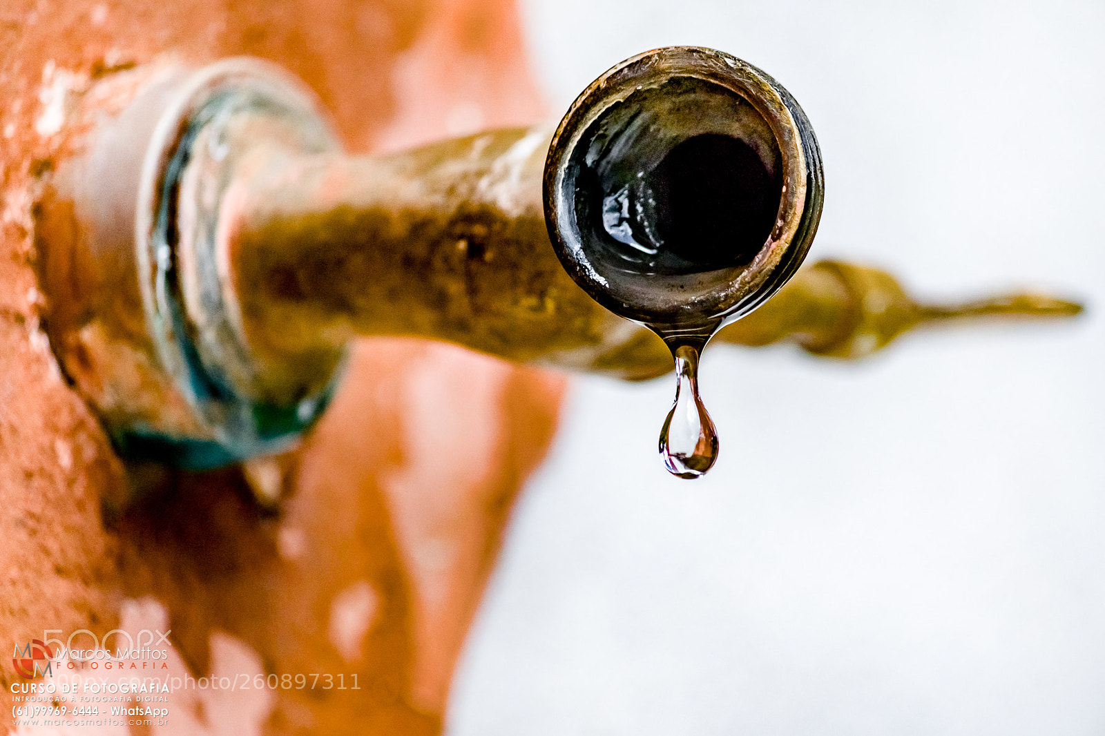 Canon EOS 7D Mark II sample photo. A gota photography