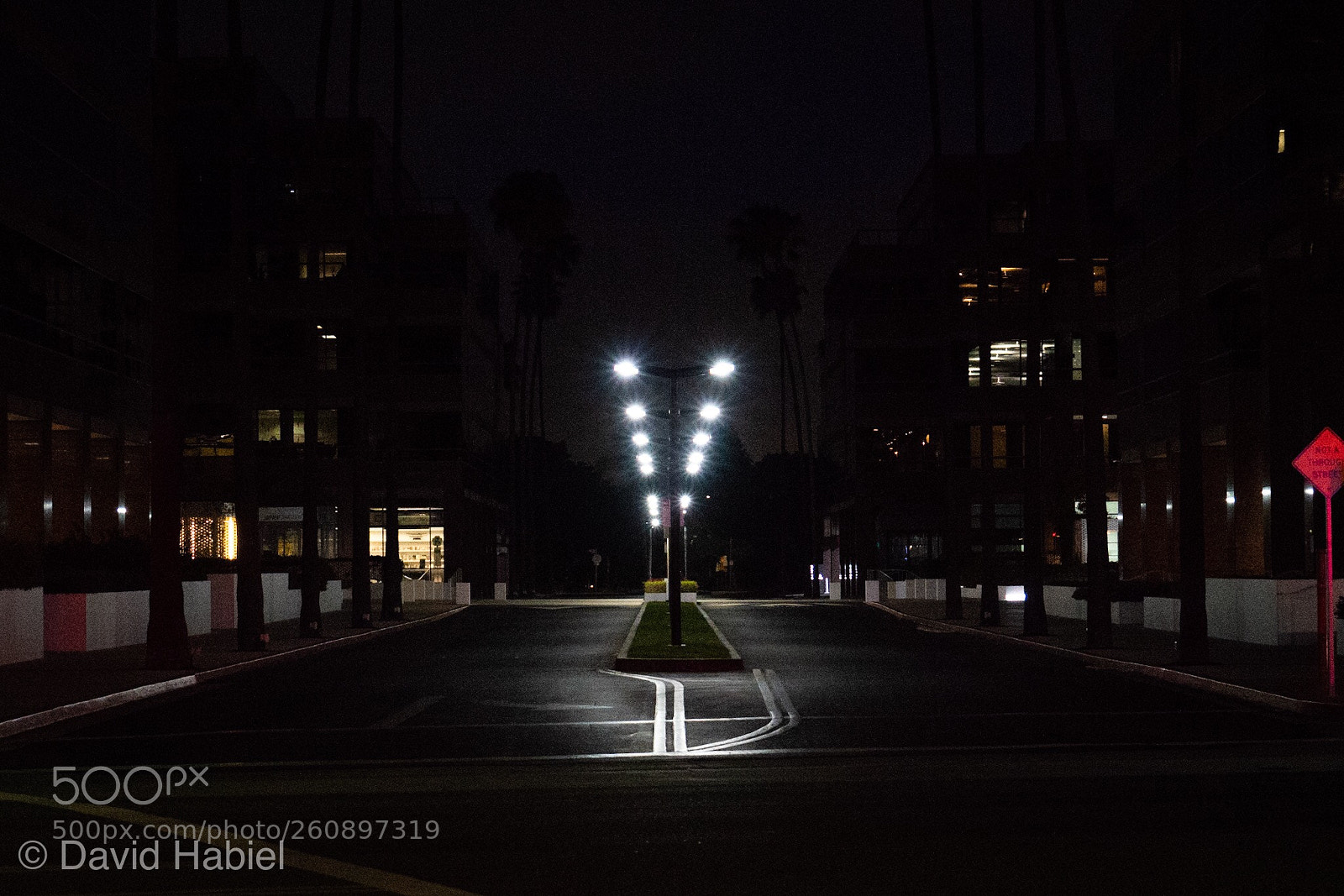 Sony a7R III sample photo. Path forward. photography