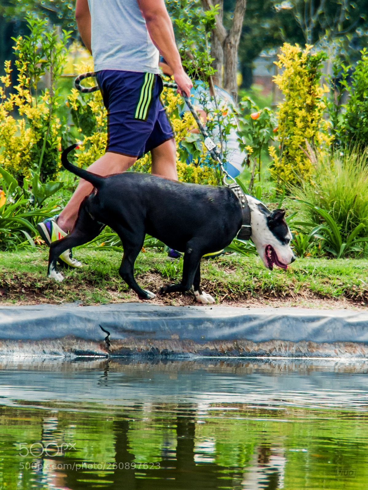 Nikon D5200 sample photo. Pits photography