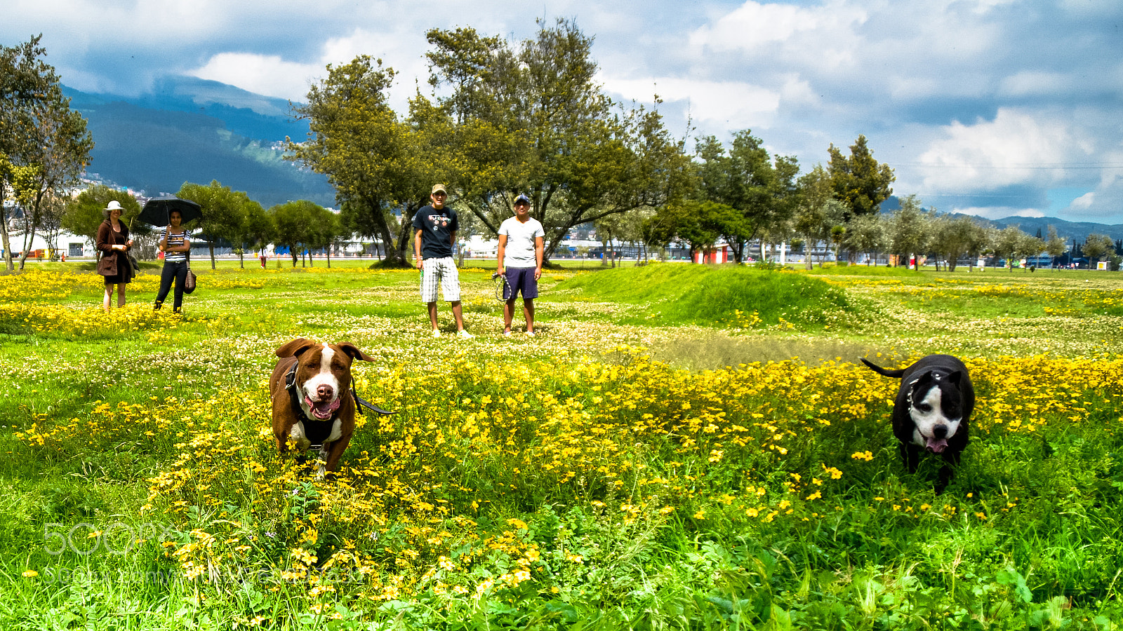 Nikon D5200 sample photo. Pits photography