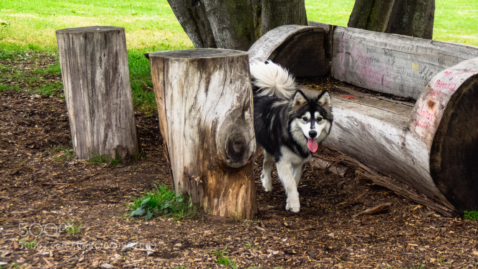 Nikon D5200 sample photo. Pits photography