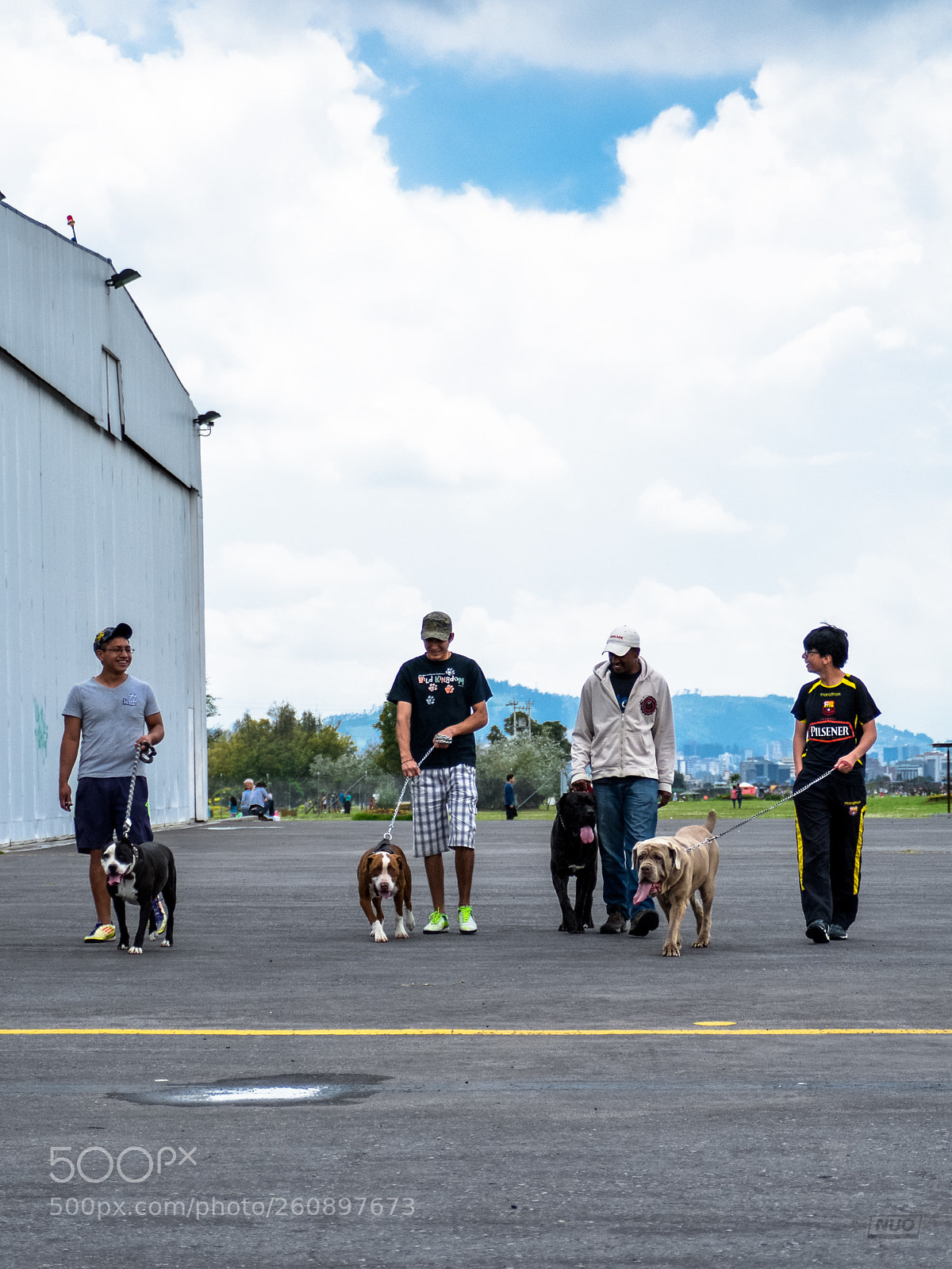 Nikon D5200 sample photo. Pits photography
